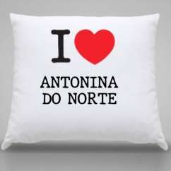Almofada Antonina do norte