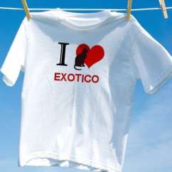 Camiseta Gato Exotico